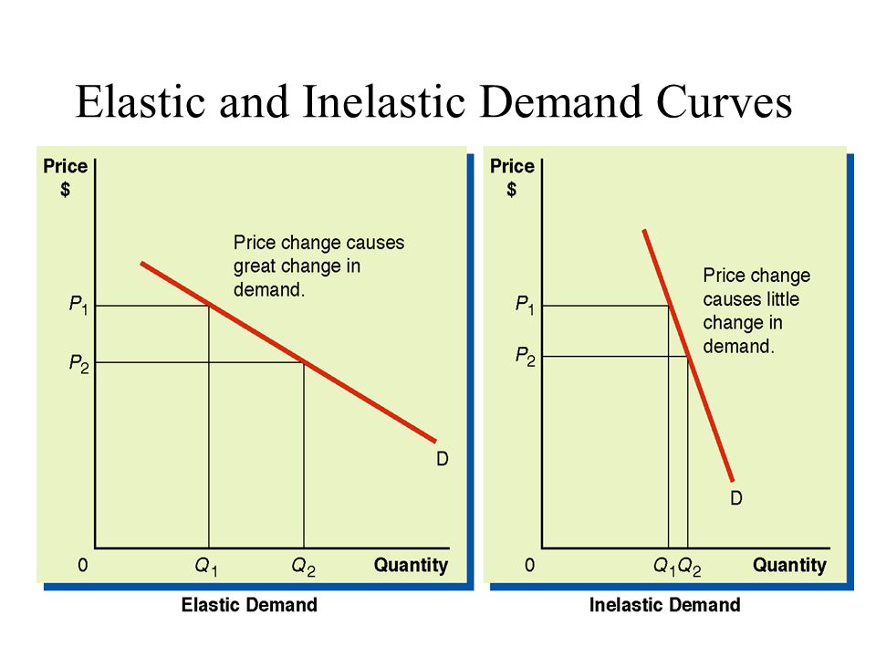 What are the possible essay questions that can be asked related to price elasticity?